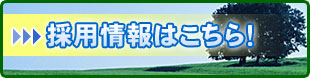 採用情報はこちら