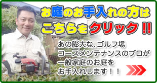 お庭のお手入れ